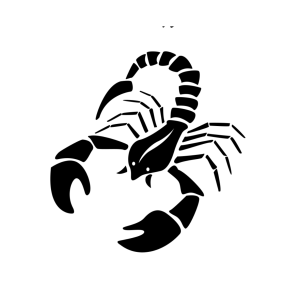 СКОРПИОН SCORPIO