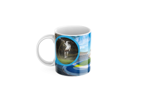 ЧАША, ЧАШИ, КЕРАМИЧНА ЧАША, ЧАША С НАДПИС, ЧАШИ С НАДПИС, ЧАШИ СЪС СНИМКИ, ЧАША СЪС СНИМКА, ЧАША ЗА ПОДАРЪК, ЧАШИ ЗА ПОДАРЪК, чаши за рожден ден, персонализирани чаши, персонализирана чаша със снимка, personslizirana chasha, personalized mug, cup, mug, pe