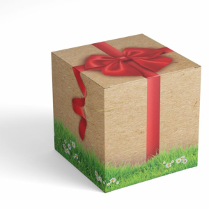 ПОДАРЪЧНА КУТИЯ 